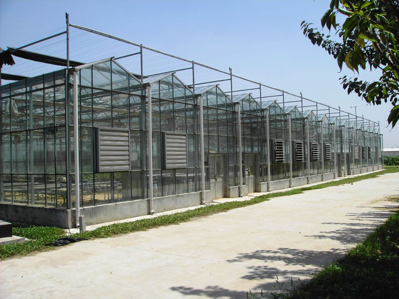 玻璃溫室