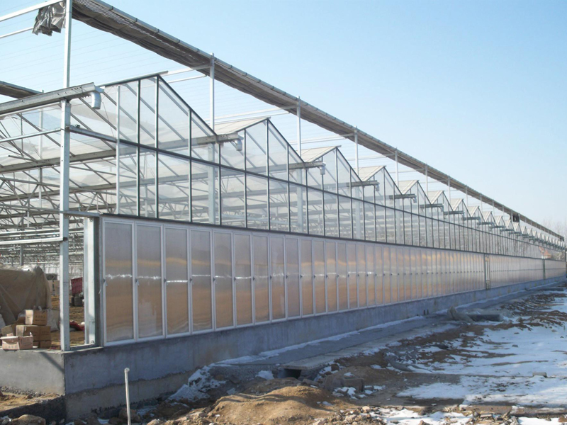 陽光板溫室