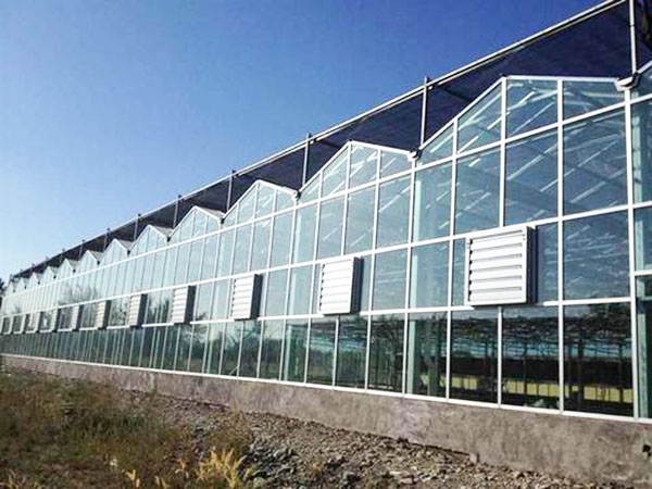 陽(yáng)光板溫室