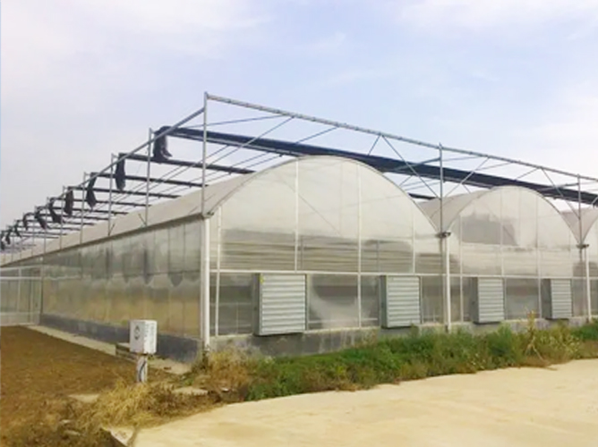 河北薄膜連棟溫室（花卉基地）3千平