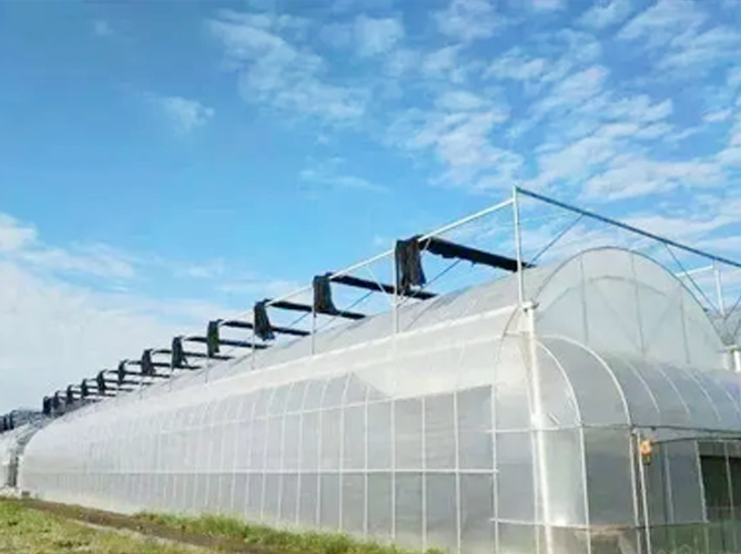 山東薄膜連棟溫室4萬(wàn)平