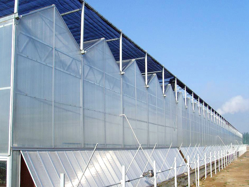 陽光板溫室
