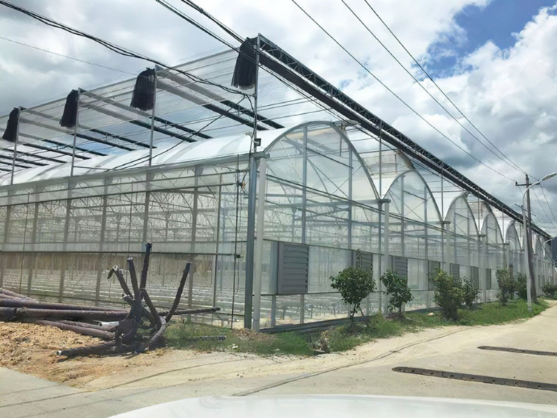 連棟溫室
