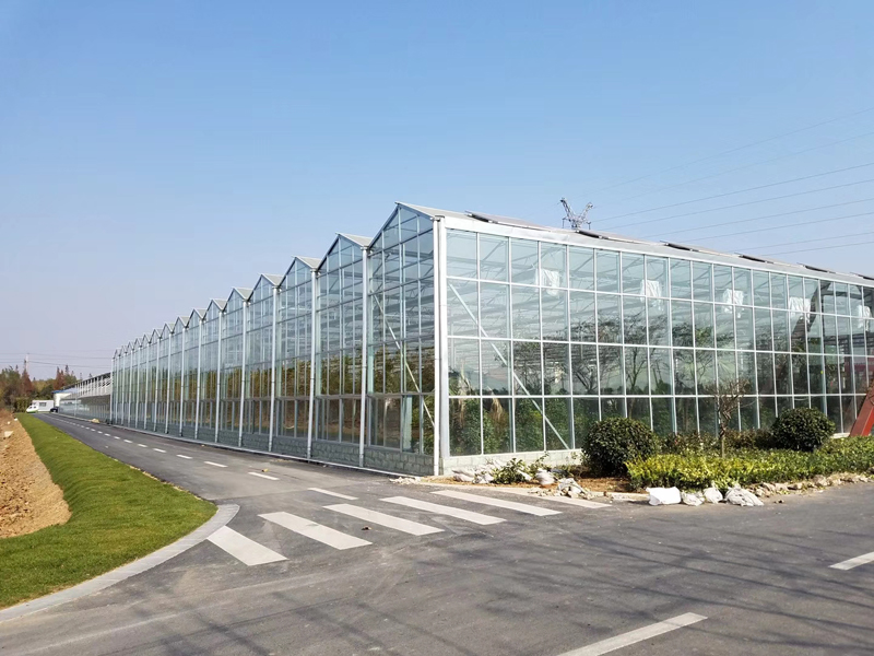 玻璃溫室